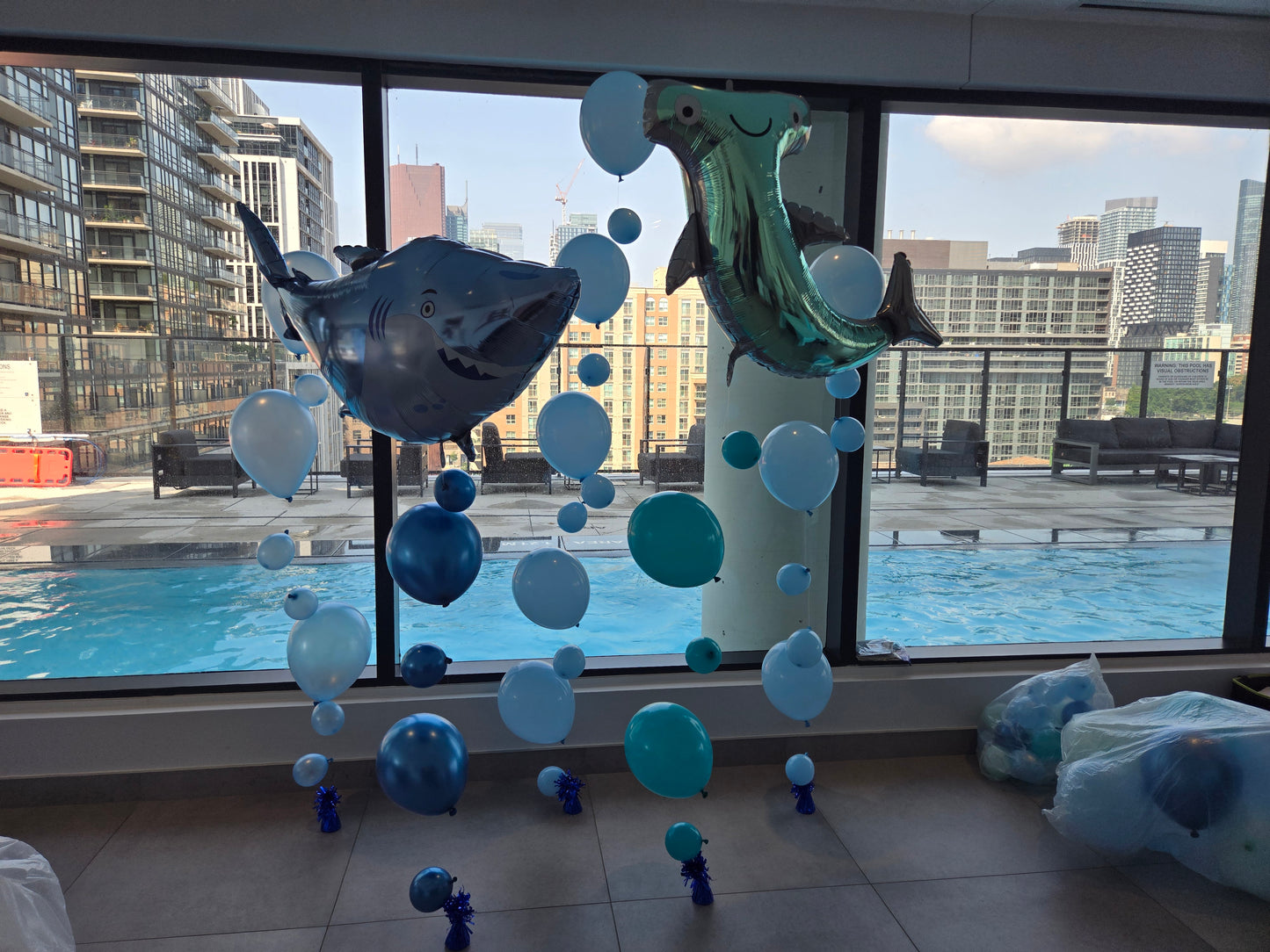 Child and Youth Birthday Decor Collection