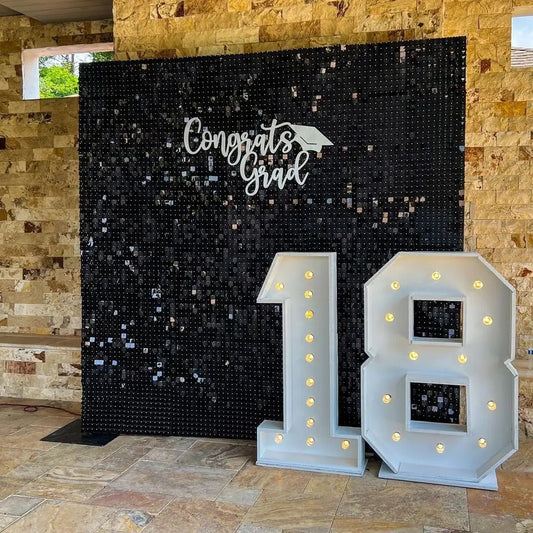 Black shimmer wall rental
